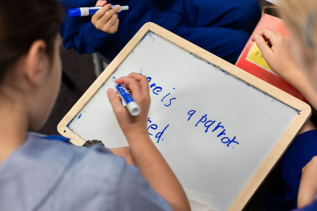 Whiteboard